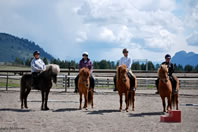 Horse Training at The Icelandic Horse Farm