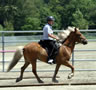 Jor and Robyn demonstrate an easy tlt on a loose rein.